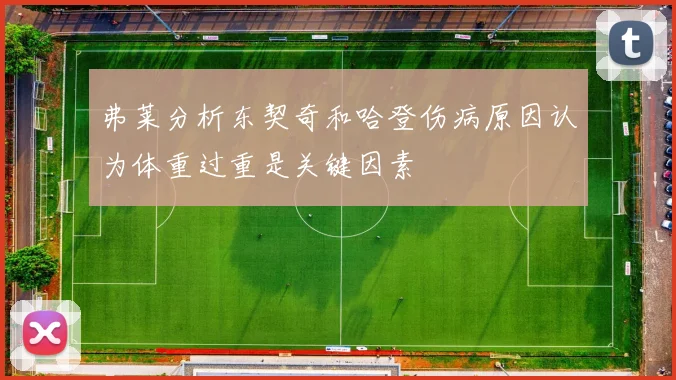 弗莱分析东契奇和哈登伤病原因认为体重过重是关键因素